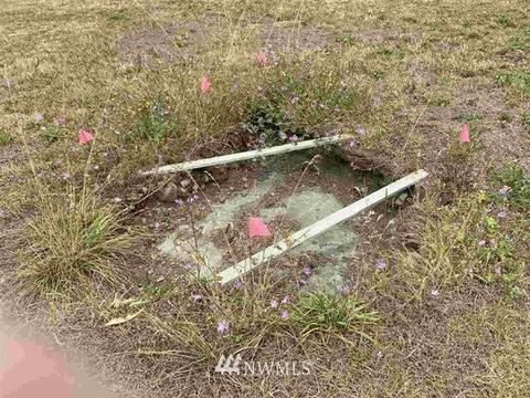 70 Marian Way, Sequim, WA 98382 photo 16