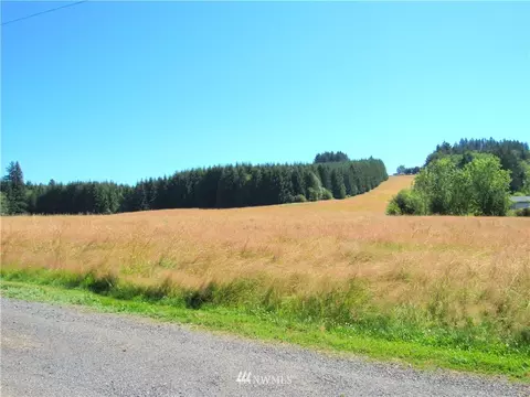 504 D St, Vader, WA 98593 photo 30