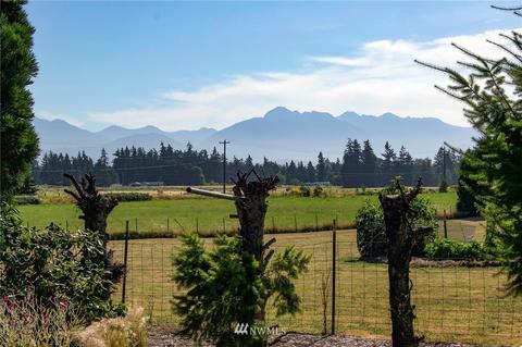 43 Kiwi Ln, Sequim, WA 98382 photo 3