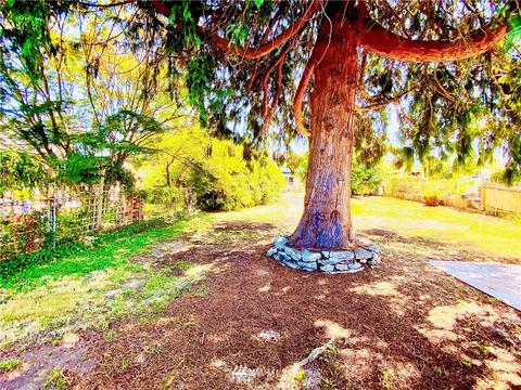 507 3rd Ave S, Edmonds, WA 98020 photo 5