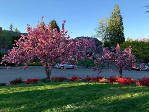 2514 243rd Pl SE, Bothell, WA 98021 photo 33