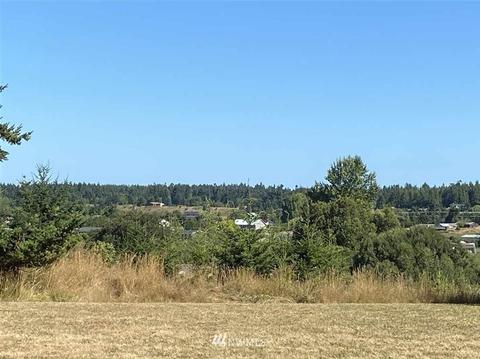 52 Josephine Pl, Sequim, WA 98382 photo 18