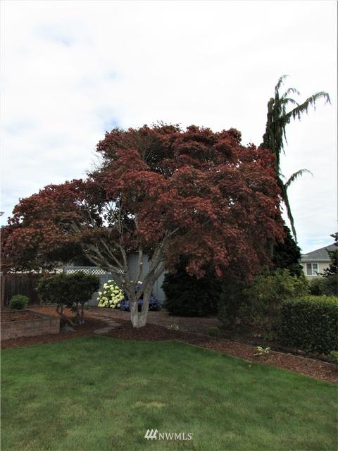 822 E Fir St, Sequim, WA 98382 photo 34