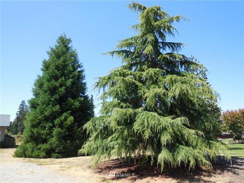 190 Booth Ln, Sequim, WA 98382 photo 32