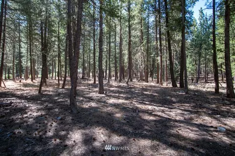 51 E Buttermilk Creek Rd #D, Twisp, WA 98856 photo 23