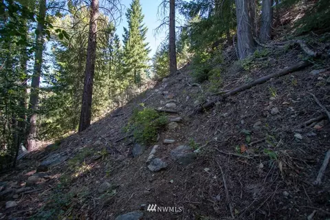 51 E Buttermilk Creek Rd #D, Twisp, WA 98856 photo 15