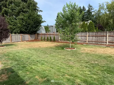 21613 49th Avenue Ct E, Spanaway, WA 98387 photo 20