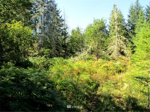 18420 232nd Ave E, Orting, WA 98360 photo 2
