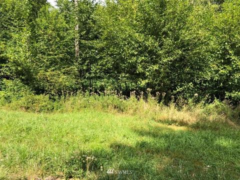 105 Scantigrease Pl, Castle Rock, WA 98611 photo 1