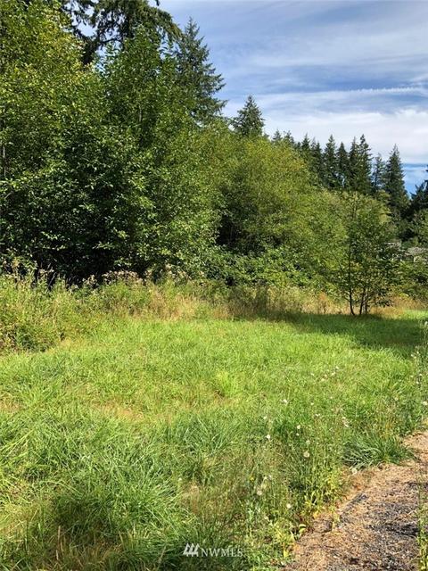 105 Scantigrease Pl, Castle Rock, WA 98611 photo 2