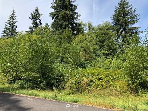 105 Scantigrease Pl, Castle Rock, WA 98611 photo 3