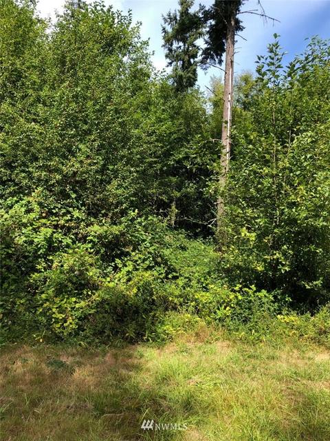 105 Scantigrease Pl, Castle Rock, WA 98611 photo 4