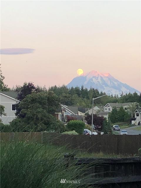 19409 126th St E, Sumner, WA 98391 photo 38