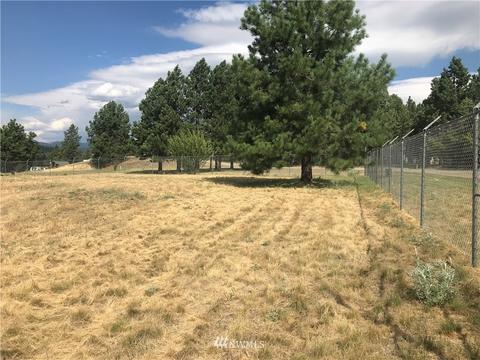 0 Lot54 Heron Loop, Republic, WA 99166 photo 3