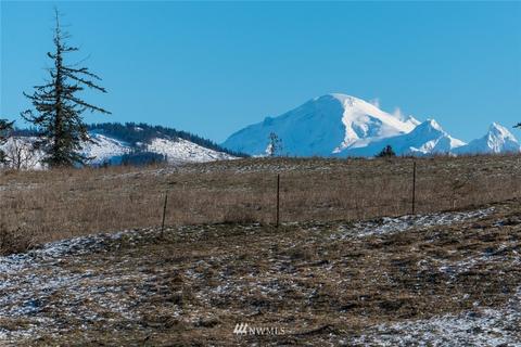 6644 Everson Goshen Rd, Everson, WA 98247 photo 4