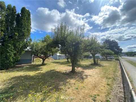 310 Kansas St SW, Orting, WA 98360 photo 5