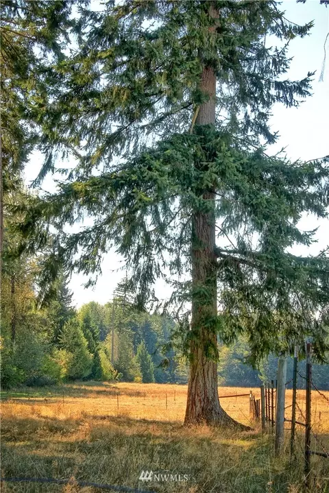 31926 8th Ave E, Roy, WA 98580 photo 10