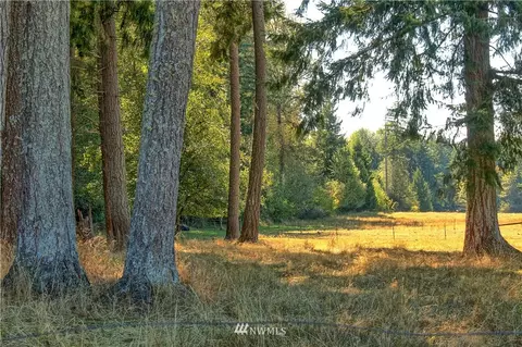 31926 8th Ave E, Roy, WA 98580 photo 9