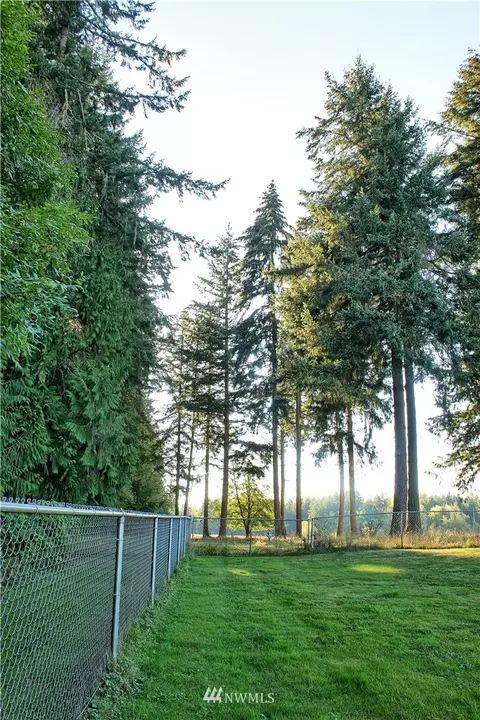 31926 8th Ave E, Roy, WA 98580 photo 35