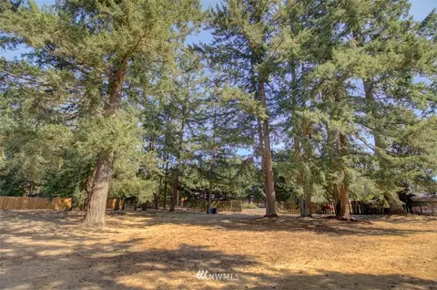 20904 46th Ave E, Spanaway, WA 98387 photo 16