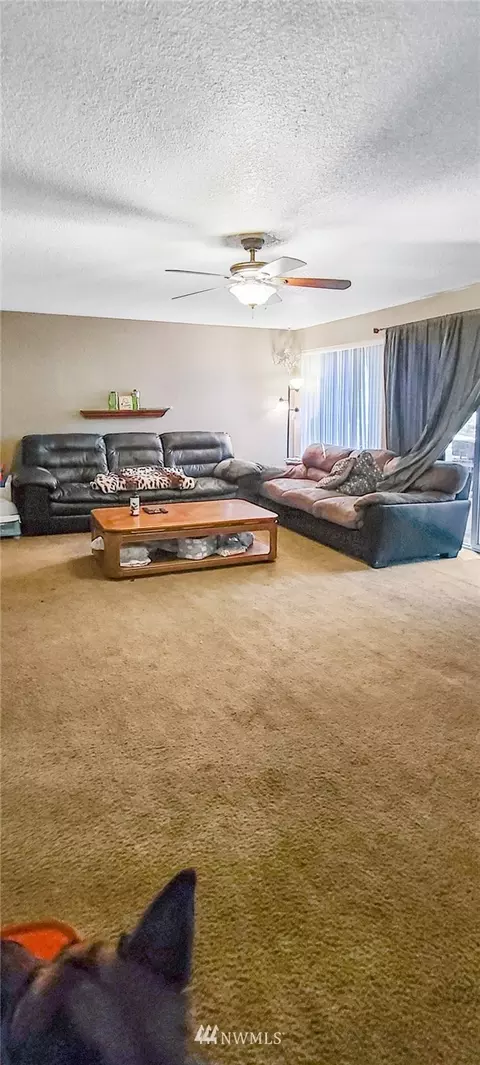 23519 46th Ave E, Spanaway, WA 98387 photo 14