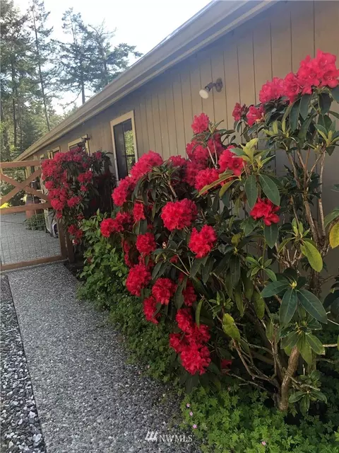 44 Shady Ln, Eastsound, WA 98245 photo 30