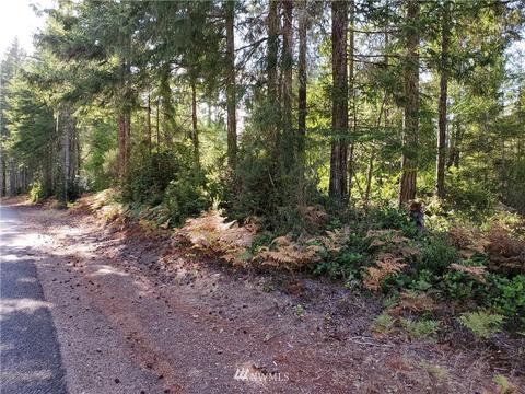 440 E Thomas Rd, Grapeview, WA 98546 photo 7