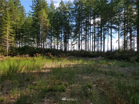 440 E Thomas Rd, Grapeview, WA 98546 photo 2