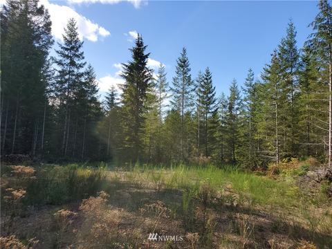 440 E Thomas Rd, Grapeview, WA 98546 photo 16