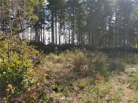 440 E Thomas Rd, Grapeview, WA 98546 photo 11