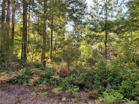 440 E Thomas Rd, Grapeview, WA 98546 photo 19