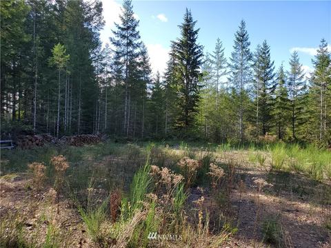 440 E Thomas Rd, Grapeview, WA 98546 photo 3