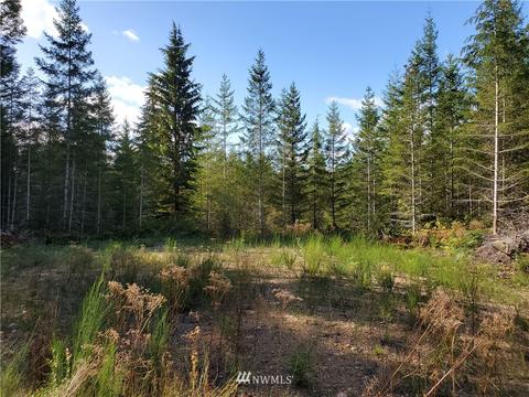 440 E Thomas Rd, Grapeview, WA 98546 photo 1