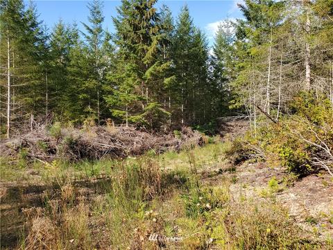 440 E Thomas Rd, Grapeview, WA 98546 photo 8