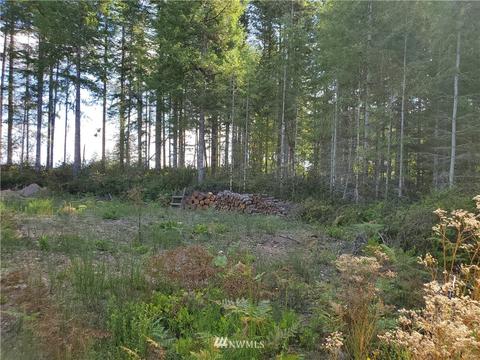 440 E Thomas Rd, Grapeview, WA 98546 photo 6