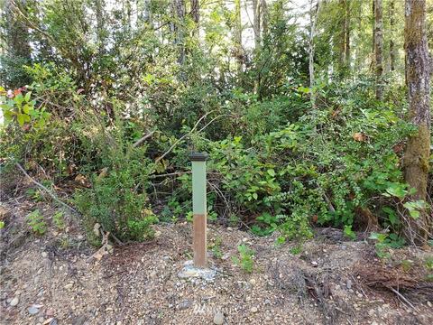 440 E Thomas Rd, Grapeview, WA 98546 photo 13