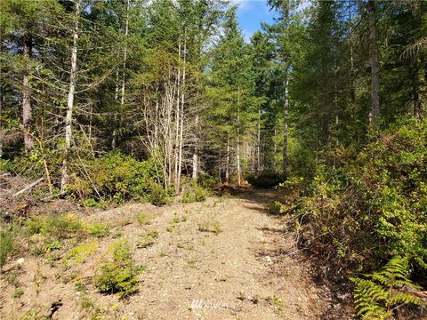 440 E Thomas Rd, Grapeview, WA 98546 photo 9