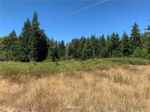 18520 250th Ave E, Orting, WA 98360 photo 7