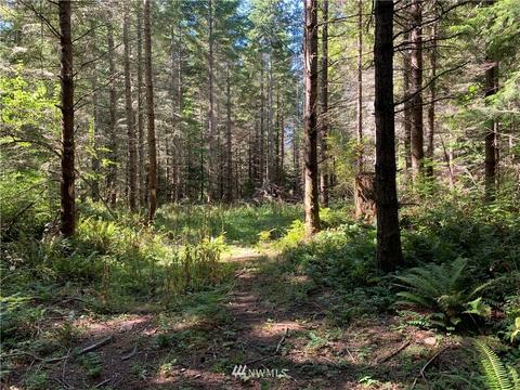 18520 250th Ave E, Orting, WA 98360 photo 1