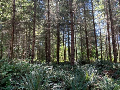 18520 250th Ave E, Orting, WA 98360 photo 5