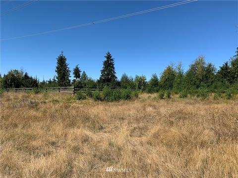 18520 250th Ave E, Orting, WA 98360 photo 6