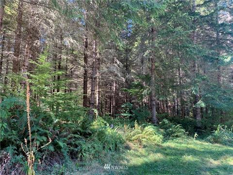 18520 250th Ave E, Orting, WA 98360 photo 4