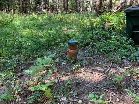 18520 250th Ave E, Orting, WA 98360 photo 3