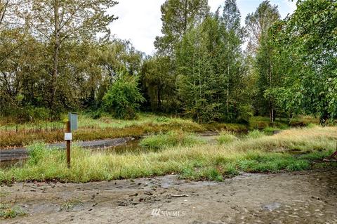 3315 S Pass Rd, Everson, WA 98247 photo 36