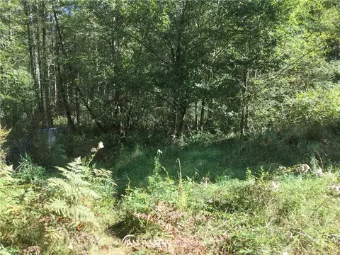 1720 340th St E, Roy, WA 98580 photo 3