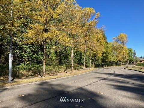 4514 Intelco Loop SE, Lacey, WA 98503 photo 1
