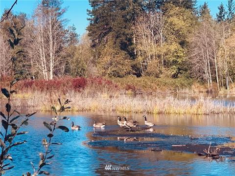 14208 41st Dr SE, Mill Creek, WA 98012 photo 25