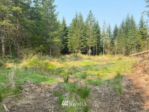 187 Roppert Rd, Winlock, WA 98596 photo 3