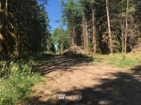 187 Roppert Rd, Winlock, WA 98596 photo 10