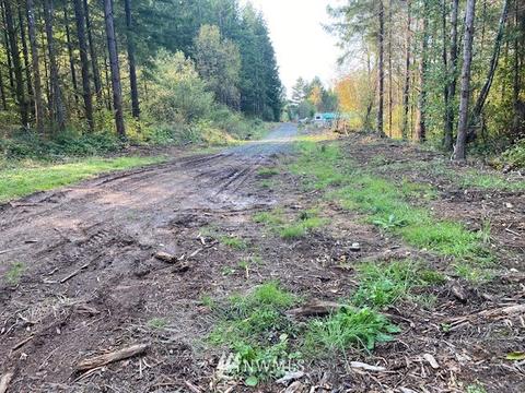 187 Roppert Rd, Winlock, WA 98596 photo 5